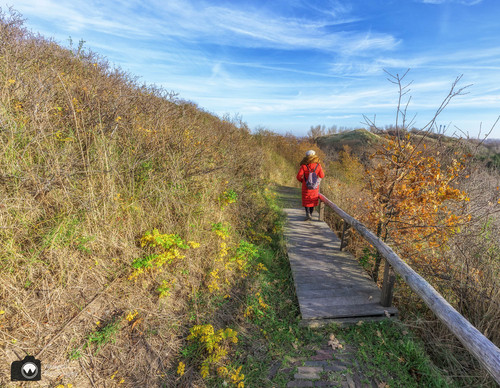 laura op de rug gezien met open armen in een duinpan