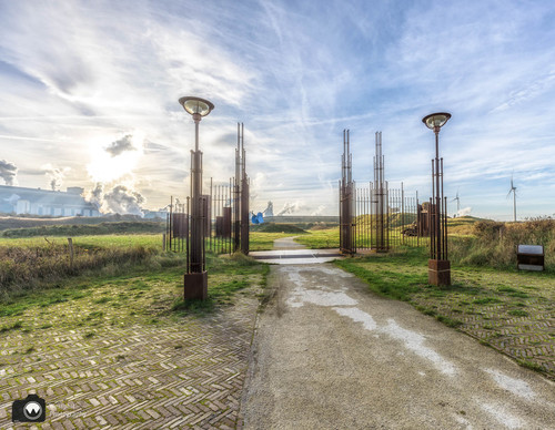 laura op de rug gezien met open armen in een duinpan
