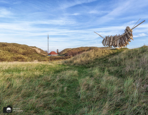 laura op de rug gezien met open armen in een duinpan