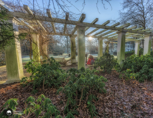 Pergola