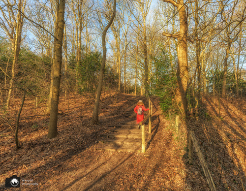 Laura op trap in opkomende zon 