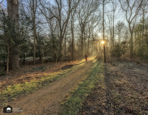 Laura op de rug loopt naar zon 