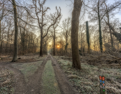 Wandelnetwerk paaltje naast bospad