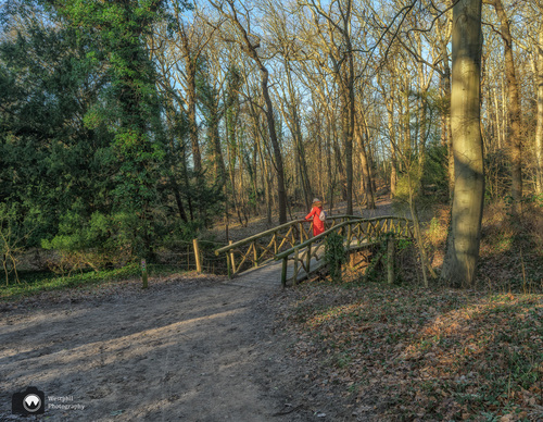 Laura staat op houten bruggetje