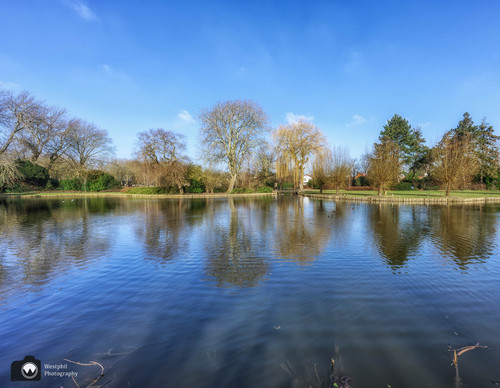 Water met bomenrij aan de overkant