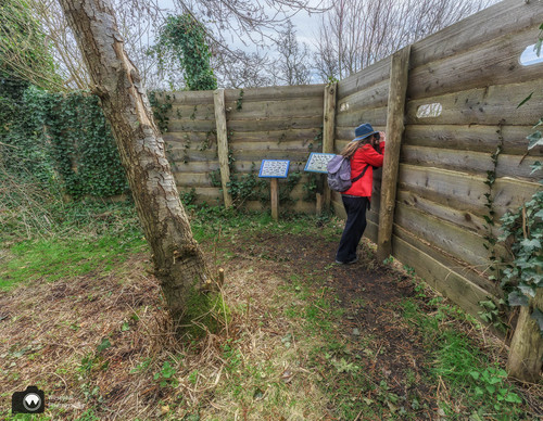 Laura gluurt door de kijkwand