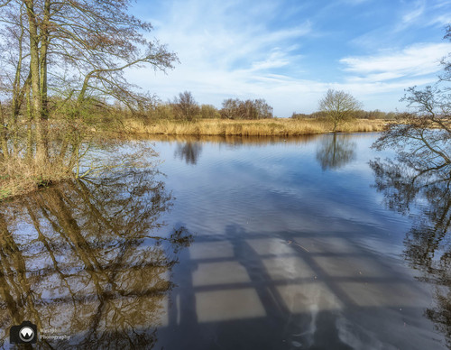 schaduw van het bruggetje op het water
