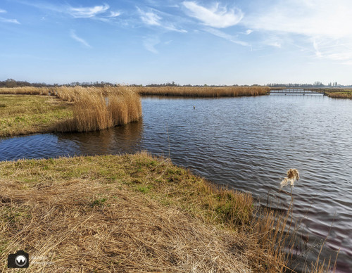 waterplas met vogelbroedgebied