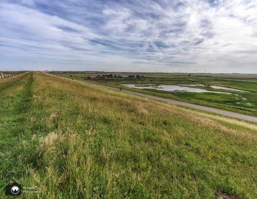 uitzicht op de polder vanaf de dijk
