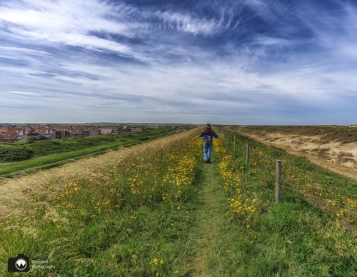 laura op de dijk tussen het gele havikskruid