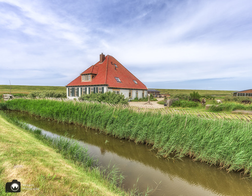 mooie boerderij en ezels