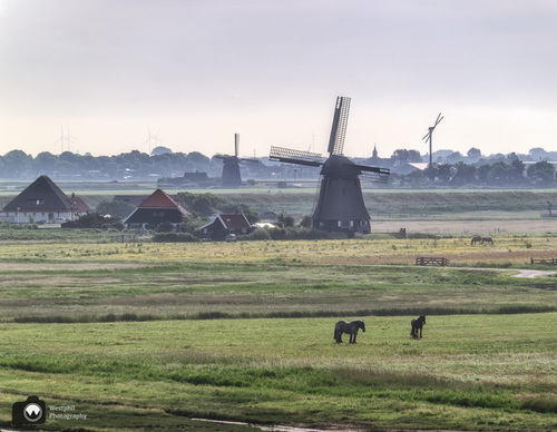 mistig uitzicht op de polder met molen en wat boerderijen