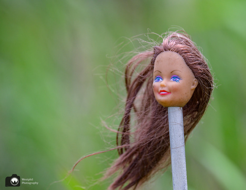 barbiepop hoofd op een stokje in het veld