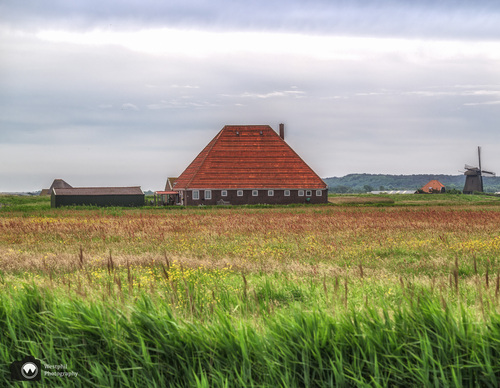 boerderij met rood dak en in de verte een molen