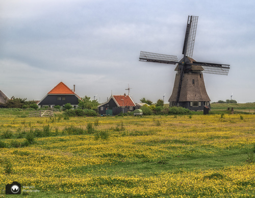 molen met twee huisjes in het landschap