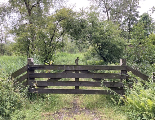houten hek met houten vogeltje erop