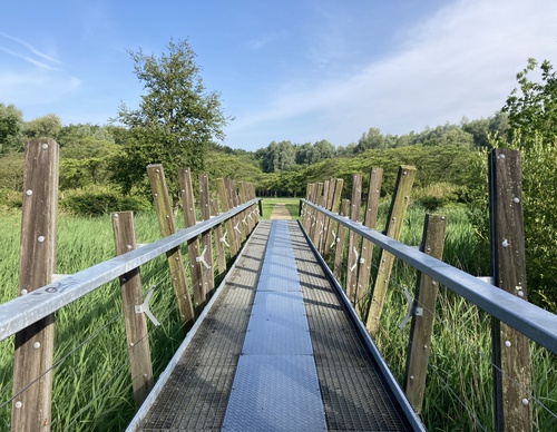 mooi bruggetje met palen