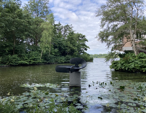 Beeld in het water met waterlelies