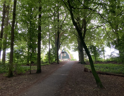 leuk houten huisje in het bos