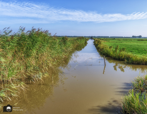 Slootjes langs het Weidevogelpad